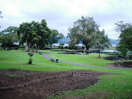 Hilo park view